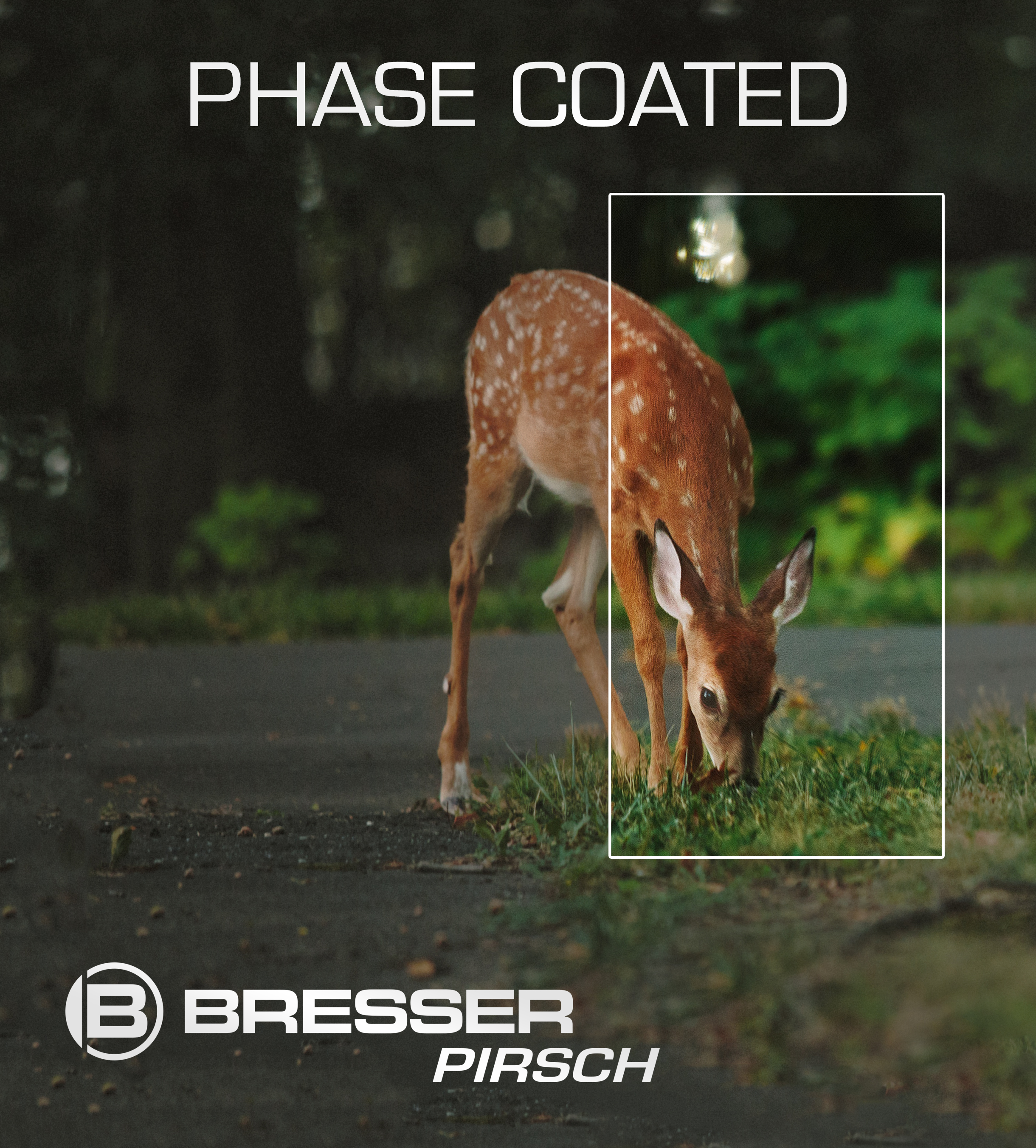 BRESSER Pirsch 10x42 Binocolo con rivestimento P per correzione della fase