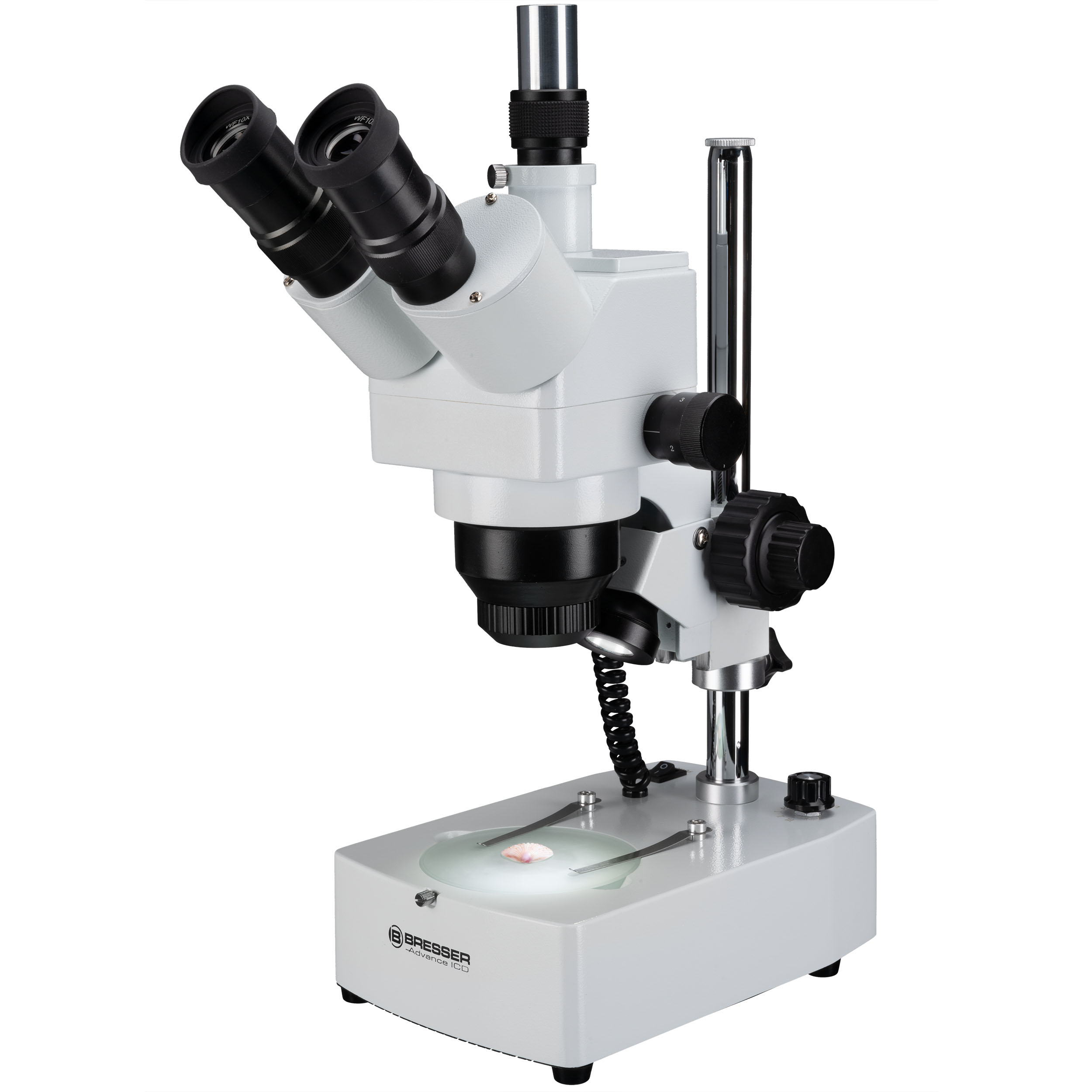 Microscopio zoom stereo di alta qualità per amatori e applicazioni professionali