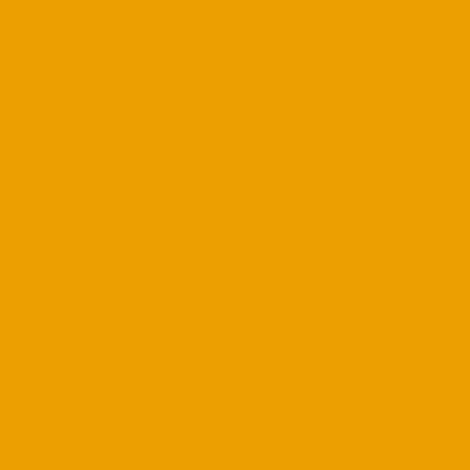 BRESSER SBP14 Fondale in Carta 1,36x11m giallo di Ranuncolo